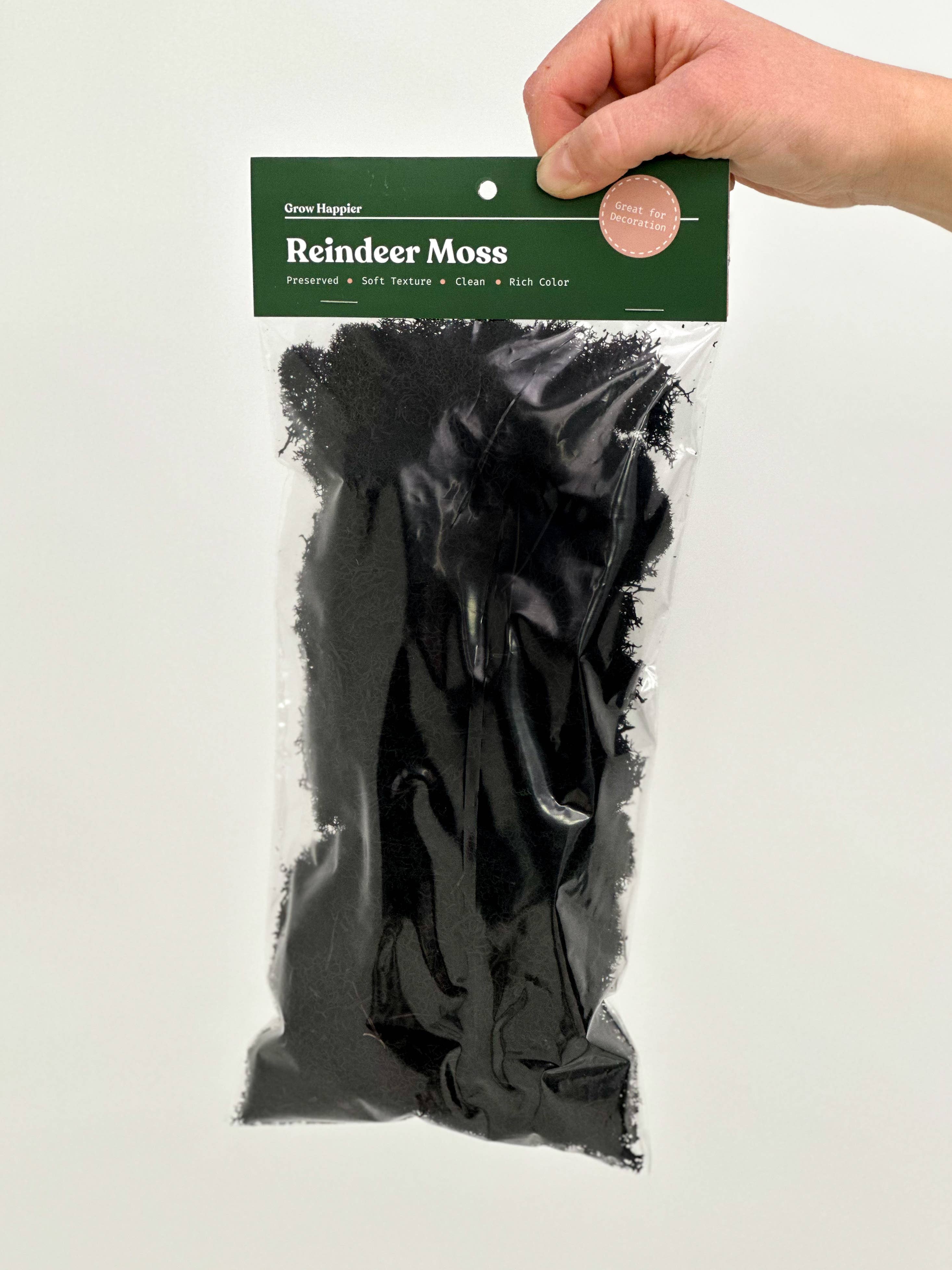 Terrarium Moss - Preserved Dried Reindeer Moss 90g Bag