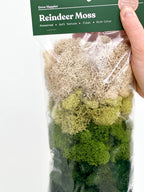 Terrarium Moss - Preserved Dried Reindeer Moss 90g Bag