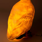 Large Goose w/ Plug
