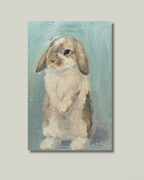 "Shy Bunny": 5x7