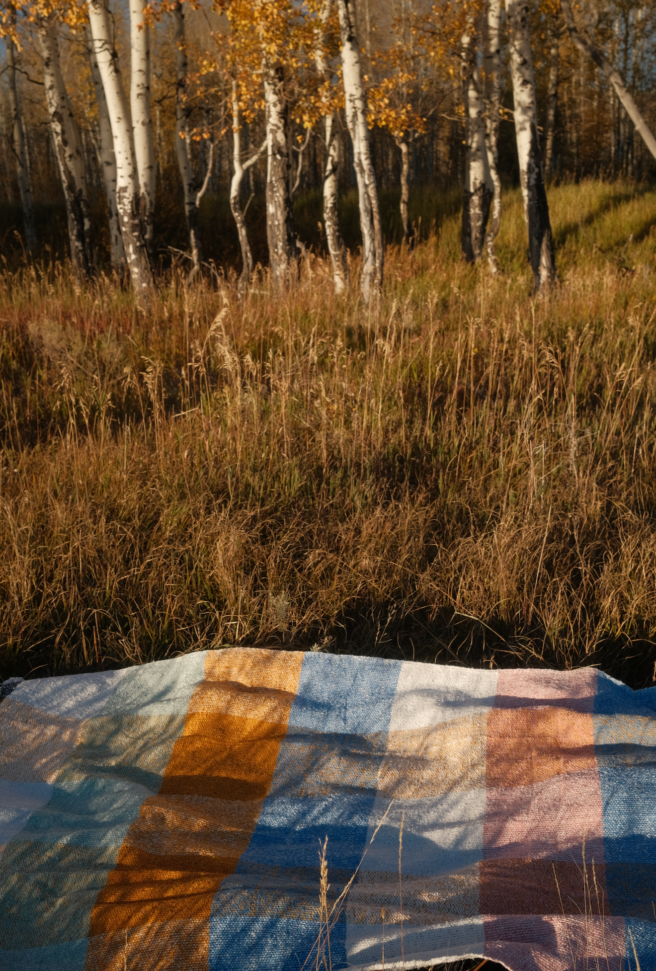 Suave Campo - Blanket Roll