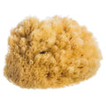 Natural Sea Sponge : Small