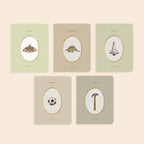 Our Little Library Vol. 3 (5 Board Book Set)