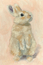 "Sweet Bunny": 5x7