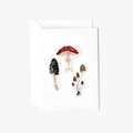 Mushrooms woodland mini enclosure notecard