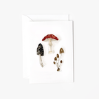 Mushrooms woodland mini enclosure notecard