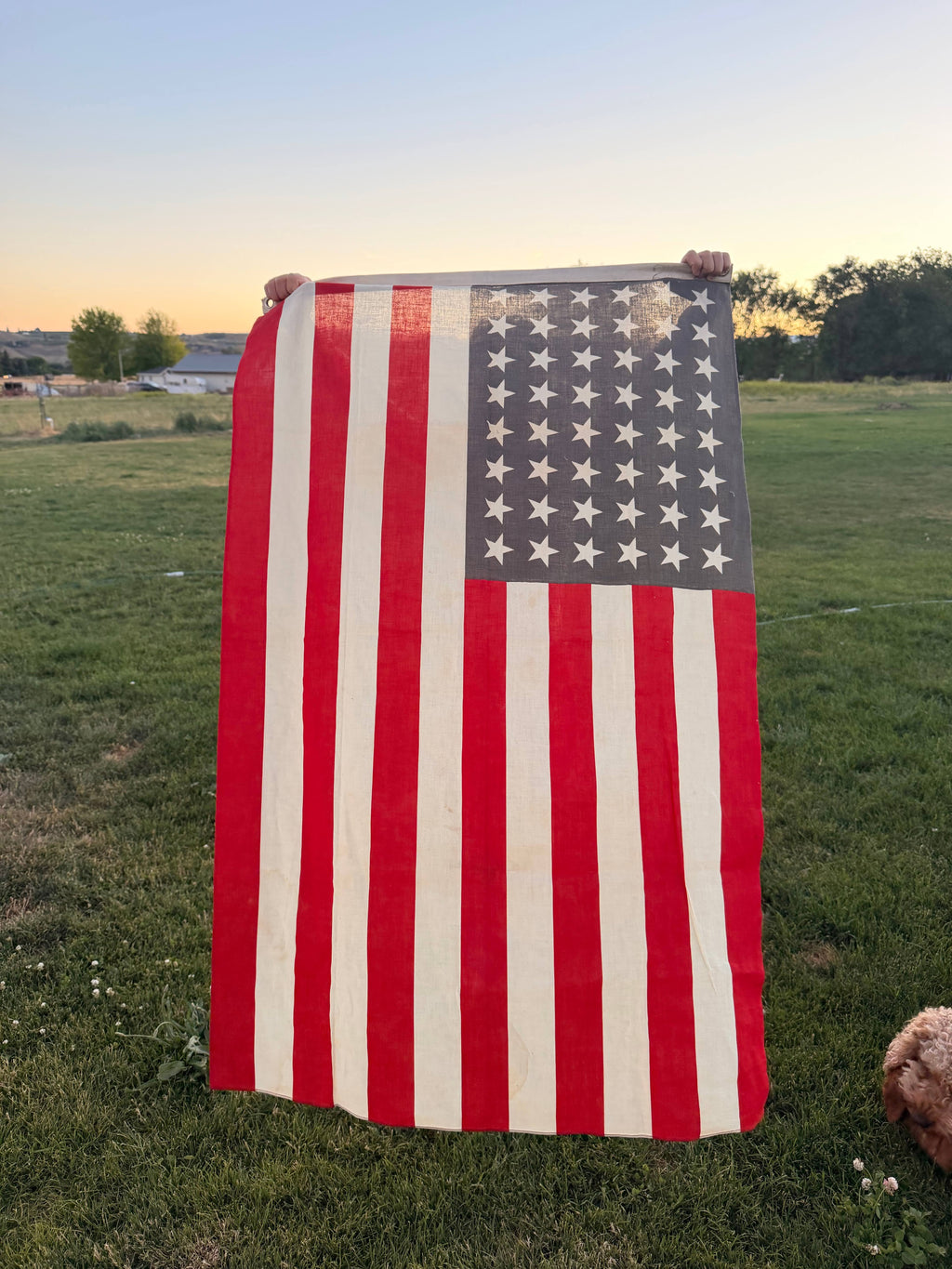 Mid-century Vintage 50-star American Flag