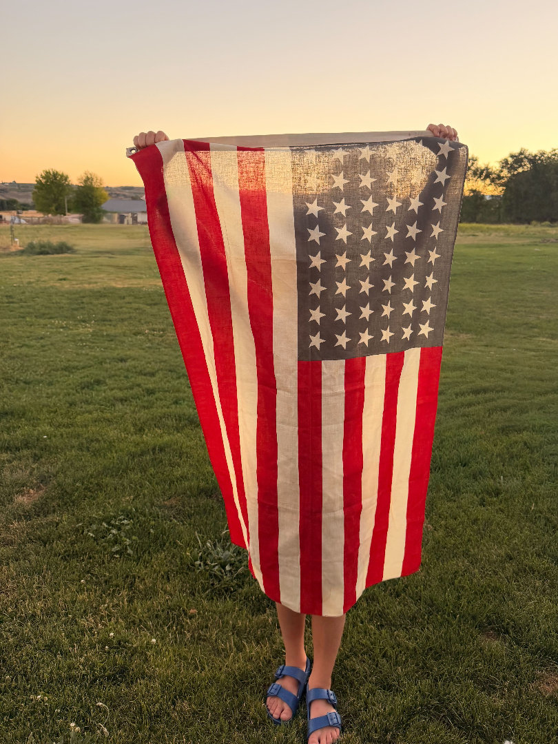 Mid-century Vintage 50-star American Flag