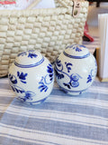 Vintage Blue & White Salt & Pepper Shakers