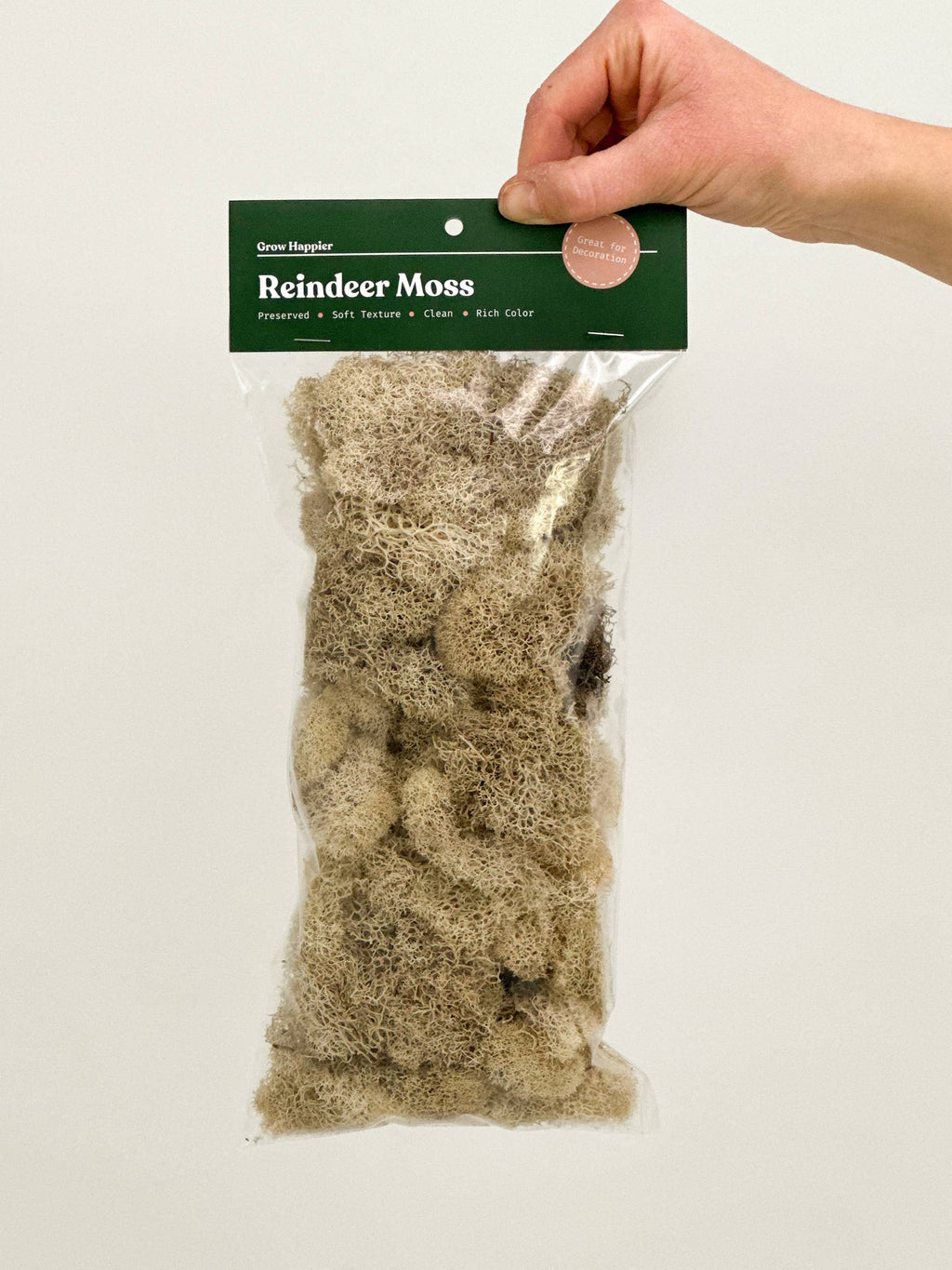 Terrarium Moss - Preserved Dried Reindeer Moss 90g Bag