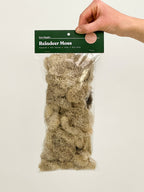 Terrarium Moss - Preserved Dried Reindeer Moss 90g Bag