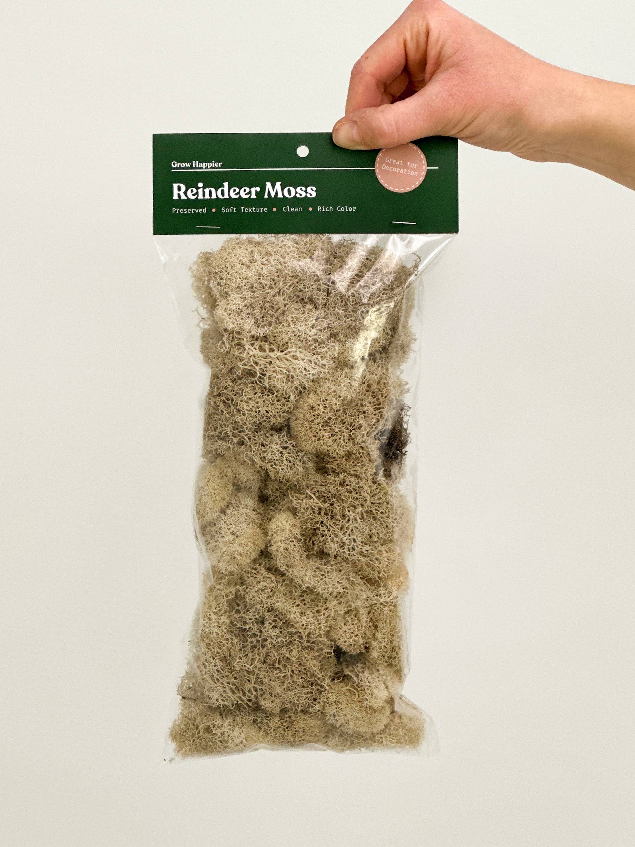 Terrarium Moss - Preserved Dried Reindeer Moss 90g Bag