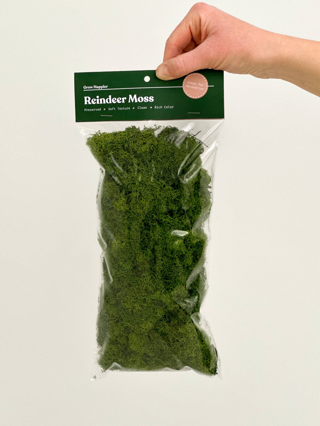 Terrarium Moss - Preserved Dried Reindeer Moss 90g Bag