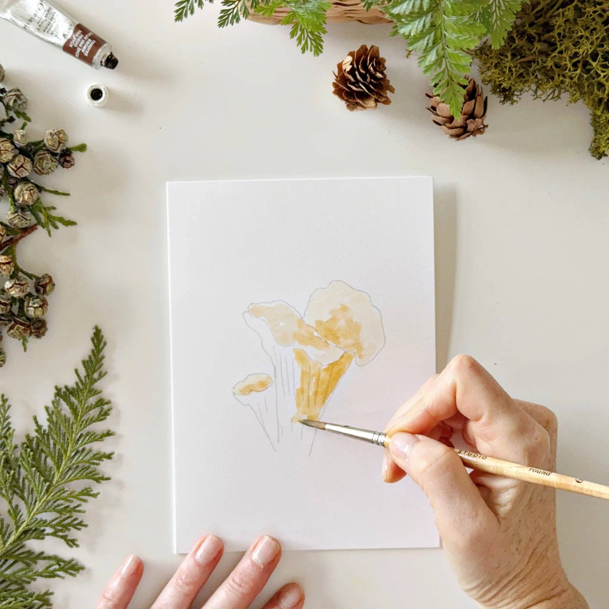 Mushrooms paintable watercolor notecard set