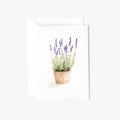 Lavender mini enclosure notecard