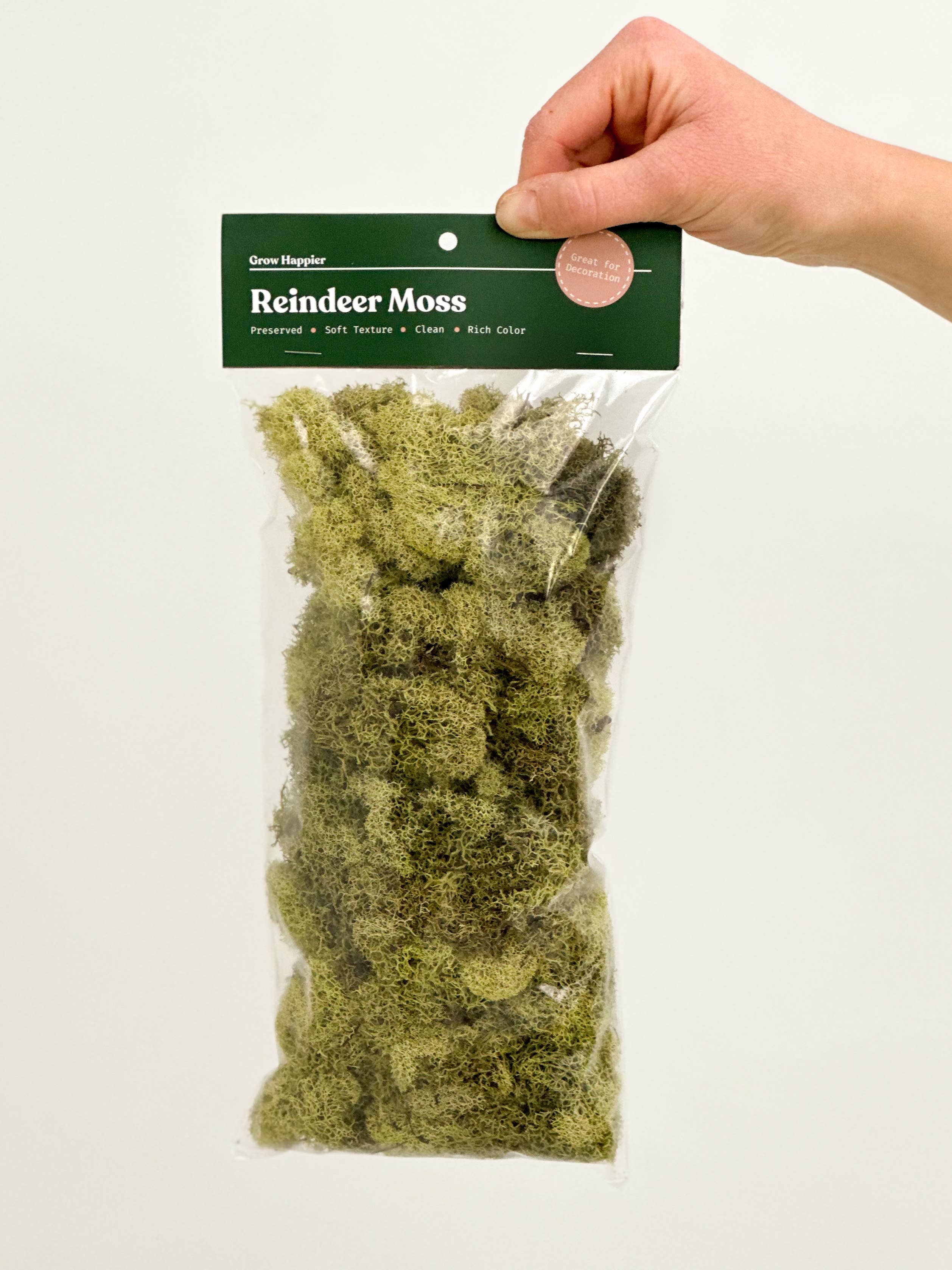 Terrarium Moss - Preserved Dried Reindeer Moss 90g Bag