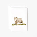 Bear mini enclosure notecard